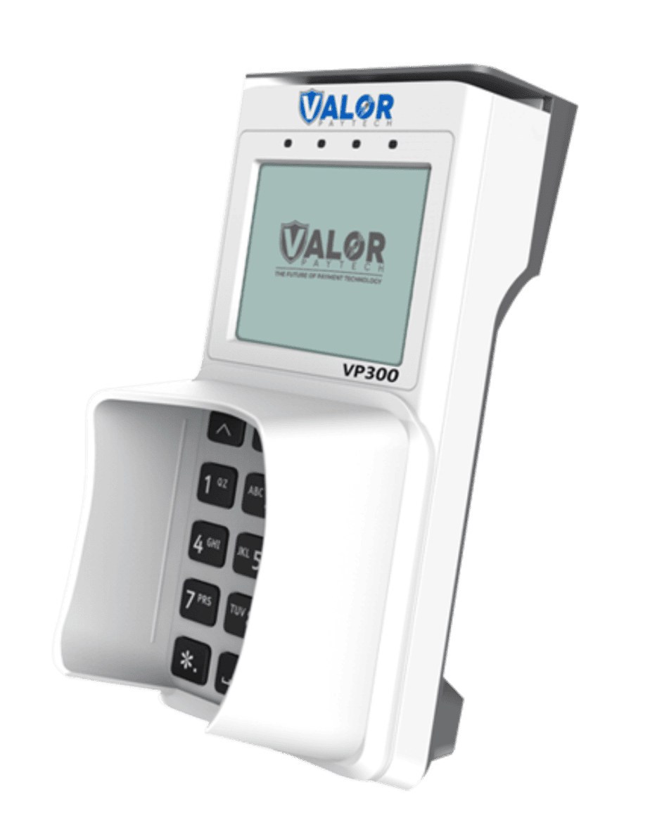 Valor-VP300-1