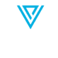 vector
